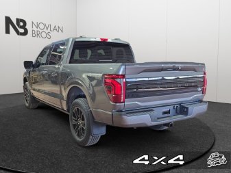 Ford F-150 Platinum  - Sunroof 1FTFW7L8XTFA41773 141307
