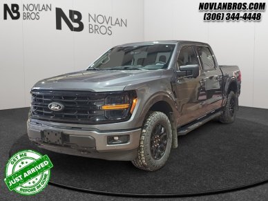 2024 Ford F-150 XLT  - Heated Seats - Alloy Wheels - Image 0