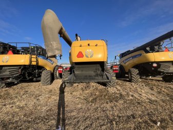 2019 NEW HOLLAND CX8.90Z 1090 Sep Hrs - Image 1